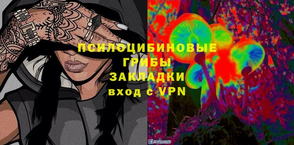 бошки Бородино