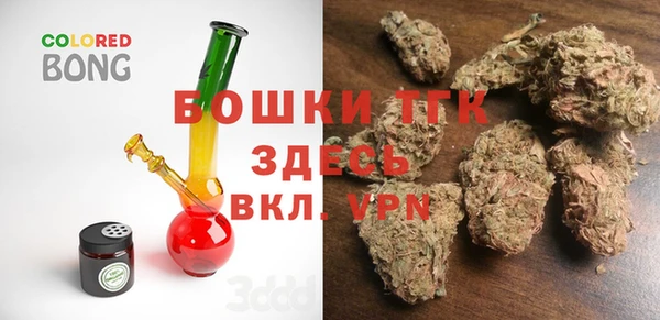 бошки Бородино
