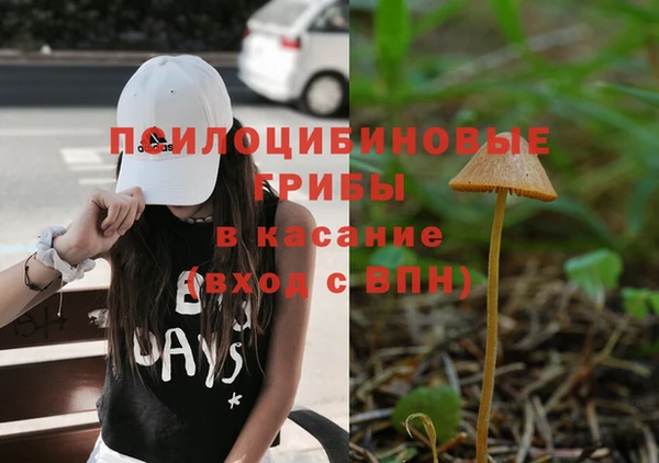 бошки Бородино