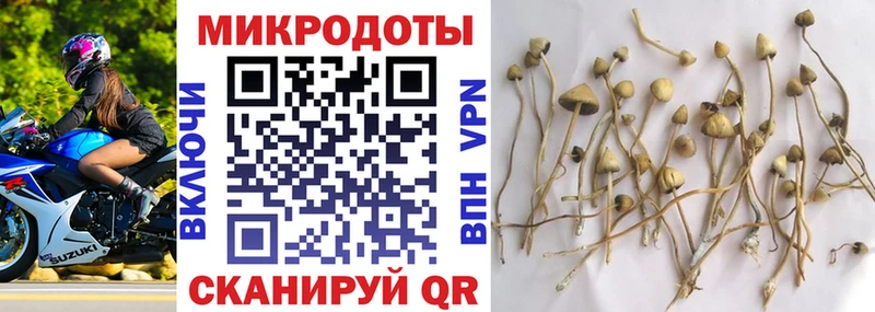 Купить где  Красноуфимск  Псилоцибиновые грибы Magic Shrooms 